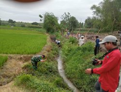 Antisipasi Banjir di Musim Penghujan, Babinsa Desa Sumberkepuh Bersama Warga Bersihkan Selokan