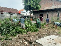 Bentuk Kepedulian Babinsa Koramil 0810/02 Bagor Bersama Warga Membersihkan Pohon Tumbang.