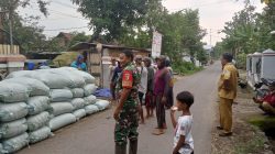 BABINSA MOJO DHUWUR MONITORING HARGA GABAH, PASTIKAN PETANI DAPAT HARGA LAYAK