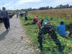 Babinsa Gebangkerep Bersama Warga Gelar Kerja Bakti, Wujud Nyata Kemanunggalan TNI-Rakyat