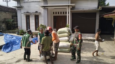 BABINSA KORAMIL 0810/11 PRAMBON DAMPINGI PENYERAPAN GABAH OLEH BULOG, WUJUD NYATA DUKUNG KETAHANAN PANGAN NASIONAL