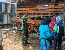 Babinsa Desa Rejoso Dampingi PPL Laksanakan Vaksinasi Ternak Milik Masyarakat