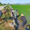 Babinsa Mojoagung Bantu Petani Bersihkan Saluran Irigasi Sawah