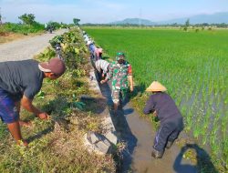 Babinsa Koramil 0810/11 Prambon Laksanakan Karya Bakti Bersihkan Saluran Irigasi Dukung Ketahanan Pangan