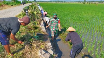 Babinsa Koramil 0810/11 Prambon Laksanakan Karya Bakti Bersihkan Saluran Irigasi Dukung Ketahanan Pangan