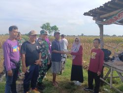 Anggota Koramil 0810/11 Prambon Laksanakan Pembersihan Irigasi Sawah Bersama BPP dan Petani
