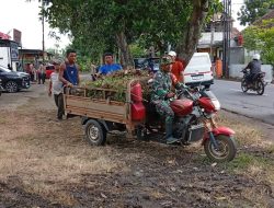 Sinergi Anggota Koramil 0810/03 Loceret, Polsek Loceret, Forpincam loceret Dan Warga Kecamatan loceret Dalam Rangka Indonesia Asri