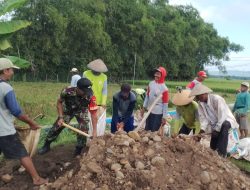 BABINSA DESA JINTEL BERSAMA WARGA LAKSANAKAN KERJA BAKTI PERBAIKAN JALAN SAWAH JELANG MUSIM PANEN