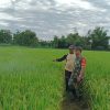 Babinsa Koramil 0810/03 Loceret Dampingi Petani Tangani Serangan Hama Wereng