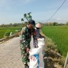BABINSA MELAKSANAKAN PENDAMPINGAN PETANI DALAM PEMUPUKAN PADI DI DESA BALONGREJO
