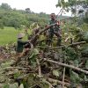 Babinsa Desa Blongko Bantu Warga Bersihkan Pohon Tumbang di Dusun Tengger
