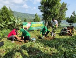 PEDULI LINGKUNGAN, PERSIT KCK CABANG XXIII DIM 0810 TANAM POHON DI LERENG GUNUNG WILIS