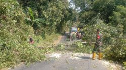BABINSA DESA KWEDEN KORAMIL 0810/18 NGETOS BERSAMA WARGA LAKSANAKAN KERJA BAKTI PEMBERSIHAN RANTING POHON