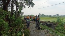 BABINSA KORAMIL 0810/08 BARON BANTU WARGA TEBANG POHON, ANTISIPASI BAHAYA DI MUSIM HUJAN