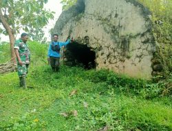 BABINSA DESA MOJODHUWUR KORAMIL 0810/18 NGETOS LAKSANAKAN PEMANTAUAN BANGUNAN BERSEJARAH PENINGGALAN JEPANG
