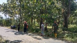 BABINSA KORAMIL 0810/18 NGETOS BERSAMA PEMDES KWEDEN GOTONG ROYONG BERSIHKAN JALAN DAN RANTING POHON
