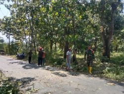 BABINSA KORAMIL 0810/18 NGETOS BERSAMA PEMDES KWEDEN GOTONG ROYONG BERSIHKAN JALAN DAN RANTING POHON