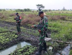 Sertu Puguh Laksanakan Komsos Bersama Petani Bayam di Kelurahan Sukomoro