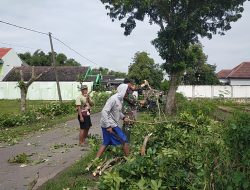 Babinsa Bersama Warga Melaksanakan Gotong Royong Bersihkan Ranting Pohon Kanan Kiri Jalan