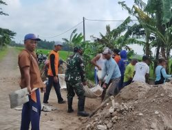 BABINSA KORAMIL 0810/12 PACE GOTONG ROYONG BERSAMA WARGA LAKSANAKAN PENGURUKAN JALAN USAHA TANI