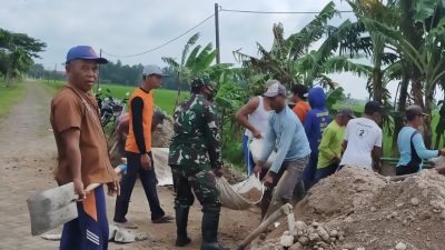 BABINSA KORAMIL 0810/12 PACE GOTONG ROYONG BERSAMA WARGA LAKSANAKAN PENGURUKAN JALAN USAHA TANI