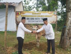DANDIM 0810/NGANJUK SERAHKAN HEWAN QURBAN IDUL ADHA 1447 H/2026 M KEPADA PANITIA QURBAN