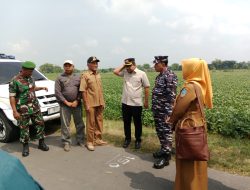 PERKUAT KETAHANAN PANGAN, KOMANDAN KODERAL V TINJAU KESIAPAN PANEN KEDELAI DI NGANJUK