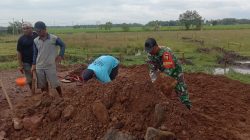 Menjelang Musim Panen, Babinsa Desa Ngangkatan Laksanakan Kerja Bakti Perbaikan Jalan Persawahan di Wilayah Binaan