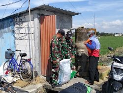 BABINSA DESA BUNGUR LAKSANAKAN SERTER KOMSOS BERSAMA PETANI BAWANG MERAH