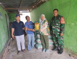 Babinsa Koramil 0810/18 Ngetos Dampingi Penyaluran Bibit Padi dan Pupuk kepada Kelompok Tani, Wujud Dukungan Ketahanan Pangan Nasional