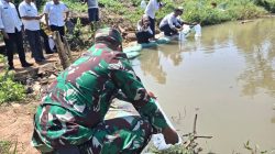 BABINSA HADIR DALAM PENABURAN BENIH IKAN DARI DINAS PERIKANAN