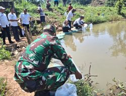 BABINSA HADIR DALAM PENABURAN BENIH IKAN DARI DINAS PERIKANAN