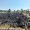 Babinsa Koramil 0810/02 Bagor Mendampingi Petani Dalam Pengolahan Lahan Tanaman Bawang Merah