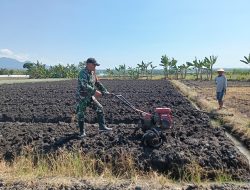 Babinsa Koramil 0810/02 Bagor Mendampingi Petani Dalam Pengolahan Lahan Tanaman Bawang Merah