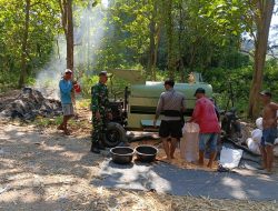 BABINSA KORAMIL 0810/20 NGLUYU DAMPINGI PETANI PANEN JAGUNG, WUJUD DUKUNGAN NYATA KETAHANAN PANGAN NASIONAL