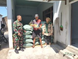 Babinsa Desa Kuncir Dampingi Pembagian Bibit Padi, Dukung Ketahanan Pangan Nasional di Wilayah Binaan