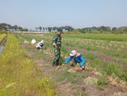 Babinsa Koramil 0810/16 Sukomoro Laksanakan Binkomsos, Pererat Silaturahmi dan Tingkatkan Kemanunggalan TNI Dengan Rakyat