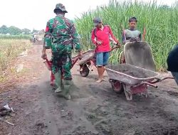 Babinsa Koramil 0810/04 Berbek Bersama Warga Gotong Royong Timbun Jalan Menuju TPU, Wujud Nyata Kemanunggalan TNI dengan Rakyat