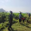 Babinsa Koramil 0810/16 Sukomoro Bersama Warga Gelar Karya Bakti, Perkuat Kemanunggalan TNI dengan Rakyat di Desa Kedungsuko
