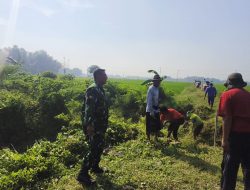 Babinsa Koramil 0810/16 Sukomoro Bersama Warga Gelar Karya Bakti, Perkuat Kemanunggalan TNI dengan Rakyat di Desa Kedungsuko