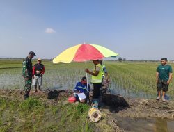 Babinsa Desa Rejoso Dampingi PPL dan Kelompok Tani Lakukan Pencarian Sumber Mata Air dengan Metode Geolistrik Bantuan IRPOM
