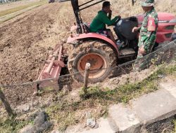 PERAN BABINSA DÉSA SENGKUT RAMIL 0810/04 BERBEK DALAM MENINGKATKAN KETAHANAN PANGAN DI WILAYAH BINAAN