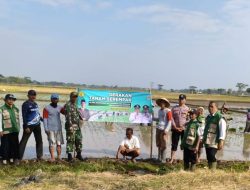 Babinsa, Bhabinkamtibmas dan PPL Dampingi Gerakan Tanam Serempak di Wilayah Kecamatan Prambon