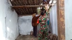 Babinsa Koramil 0810/10 Tanjunganom Gotong Royong Bantu Bangun Rumah Warga, Wujud Nyata Kemanunggalan TNI dengan Rakyat