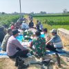 BABINSA BERSAMA PEMERINTAH KECAMATAN DAN STAKEHOLDER DAMPINGI PROGRAM IRIGASI PERPOMPAAN KEMENTERIAN PERTANIAN