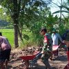 Babinsa Koramil   Bagor Gotong Royong Renovasi Paving Jalan Warga, Wujud Nyata Kemanunggalan TNI dengan Rakyat