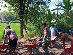 Babinsa Koramil   Bagor Gotong Royong Renovasi Paving Jalan Warga, Wujud Nyata Kemanunggalan TNI dengan Rakyat