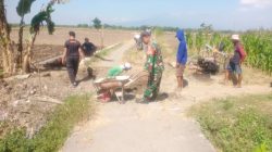 Babinsa Koramil 0810/15 Rejoso Laksanakan Kerja Bakti Perbaikan Jalan Sawah Guna Permudah Akses Pertanian