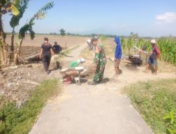 Babinsa Koramil 0810/15 Rejoso Laksanakan Kerja Bakti Perbaikan Jalan Sawah Guna Permudah Akses Pertanian