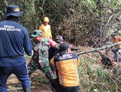 CEGAH BANJIR, BABINSA DAN WARGA GOTONG ROYONG BERSIHKAN POHON BAMBU DI ALIRAN SUNGAI